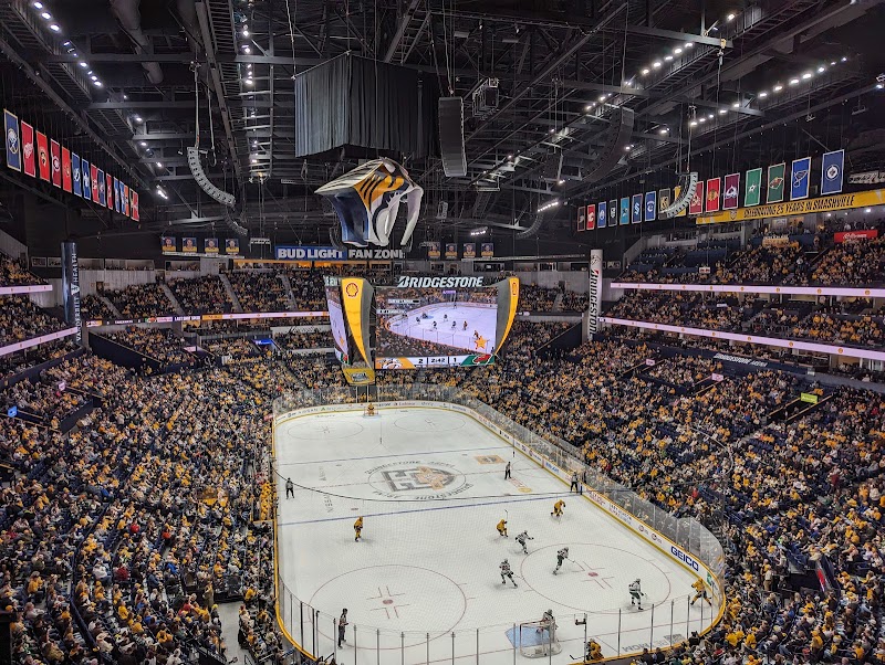Nashville Predators Game
